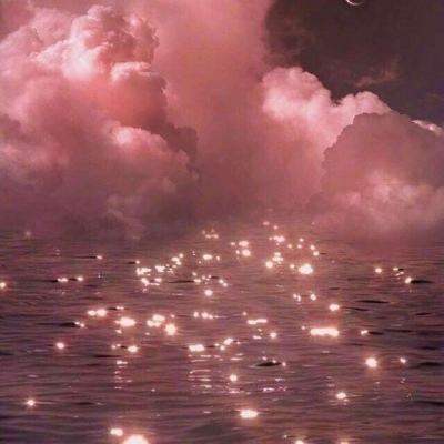 海绵宝宝运螃蟹